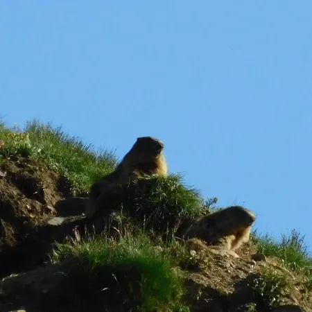 Stelvio Bormio Ostello Sondalo